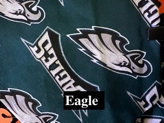 NFL Teams Bandanas